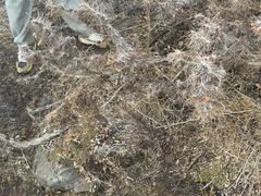 -灵山
