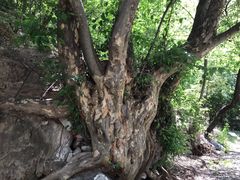 -孤山寨风景区