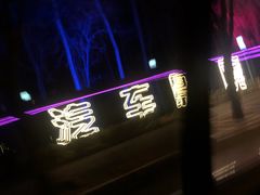 -枫花园汽车电影院(朝阳公园店)