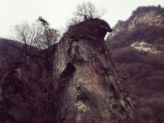 -少华山国家森林公园
