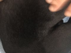 -伟伟宠物医院·CT影像中心·瑞派犬猫综合性门诊(汉口总院)