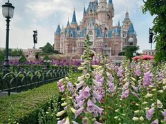 -上海迪士尼度假区