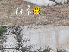-太原动物园