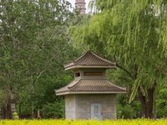 -北坞公园