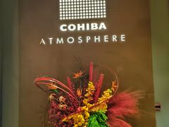 -Cohiba Atmosphere高希霸魅力俱乐部(国贸店)
