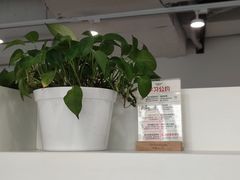 -白鲸自习室(公主坟店)