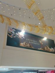 点击看大图 -石家庄苏亚美联臣医疗美容医院