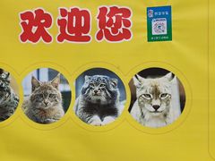-青藏高原野生动物园