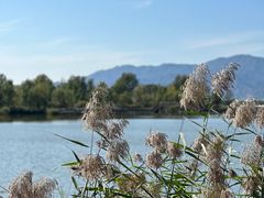 -野鸭湖国家湿地公园