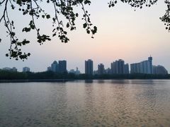 -莲花池公园