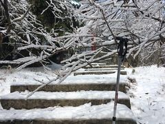 -庐山风景区花径公园