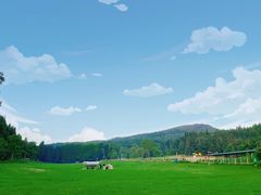 -武陵山森林公园