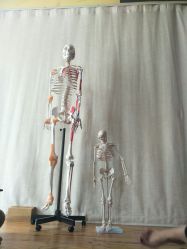 -FineYoga梵音瑜伽·普拉提