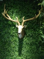 -V-STAR威斯达•高级私人定制