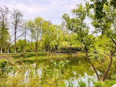 -西溪国家湿地公园