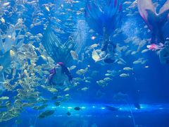 -华夏文旅海洋公园