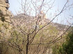 -碓臼峪自然风景区