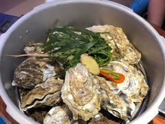 -千岛蚝高压锅生蚝·人参火锅(白云万达店)