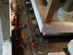 -蓉城老妈火锅(双林路店)