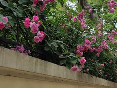 -青岛第三海水浴场