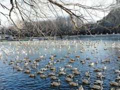 -宗角禄康公园