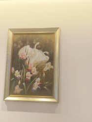 -天津伊美尔医疗整形美容专科医院