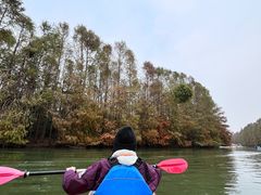 -上海海湾国家森林公园