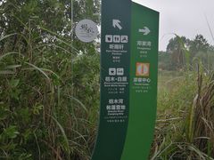 -桤木河湿地公园