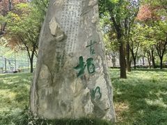 -唐城墙遗址公园