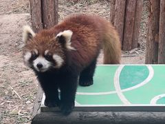 -宁波野生动物园