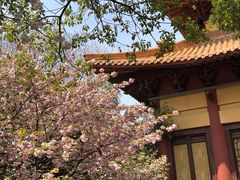 -南京市江宁方山
