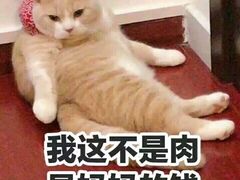 -汉堡王(徐汇绿地缤纷店)