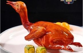 Gold Medal Tangerine Pigeon