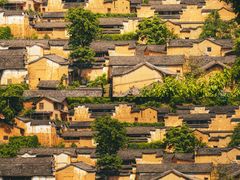 -杨家堂村