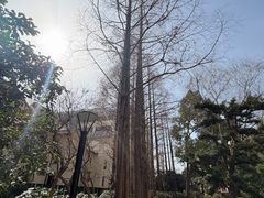 -兰溪青年公园
