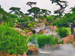 -罗红摄影艺术馆