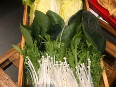 -南门四季铜锅涮肉(左家庄店)