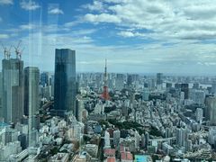 -六本木新城展望台(东京城市景观)