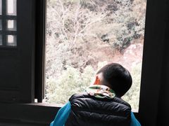 -杭州半山国家森林公园