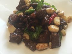 -松声马术俱乐部