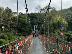 -西双版纳原始森林公园