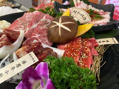 -猫爪爪原切自助烤肉(观音桥阳光世纪店)
