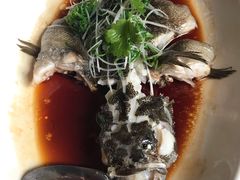 -夜上海(新天地店)