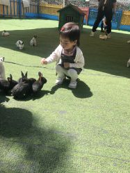 -萌宠亲子动物乐园(槐房万达店)