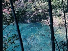 -四明山国家森林公园
