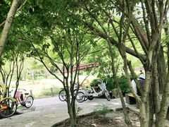 -贵阳市花溪国家城市湿地公园