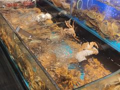 -苏格里岛自助烤肉海鲜火锅(成都金牛万达店)