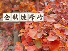 -周口店坡峰岭风景区