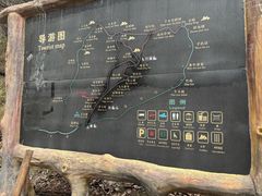 -王顺山国家森林公园