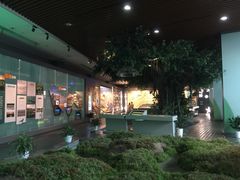 -中国湿地博物馆